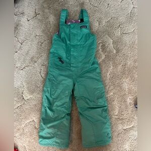 Patagonia Kids Green snow pants